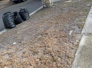 Leaf Removal by Onel Cherilus for Lawrence D. in Orlando, FL