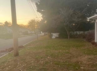 Leaf Removal by Keith Fernandes for Cecil D. in Somerdale, NJ
