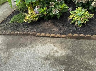 Weeding by Edward Burrus for Audrey F. in Chesapeake, VA