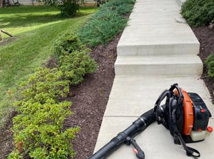 Cleanups by Carlos Portillo for Ying L. in Falls Church, VA