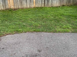 Leaf Removal by James Serio for Napthal S. in Rochester, NY