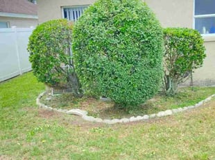 Bush Trimming by James Anderson for James L. in Zephyrhills, FL