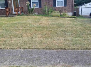 Terry V.'s Lawn Care service result