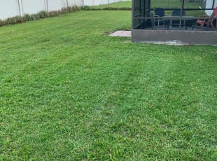 Renae B.'s Lawn Care service result