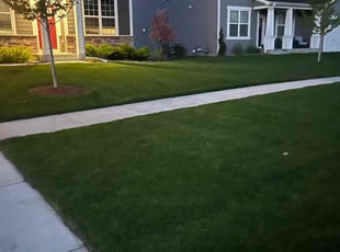Keanu M.'s Lawn Care service result