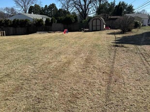 James J.'s Lawn Mowing Service service result