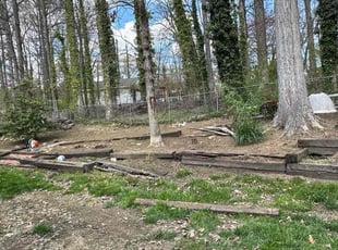 Cleanups by Fidel Rodriguez for Sarah P. in Springfield, VA