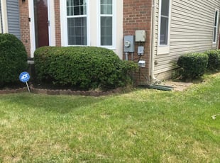 Bush Trimming by Kamonta Hackey for Sheriff T. in Silver Spring, MD