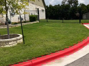 Debra T.'s Lawn Mowing service result
