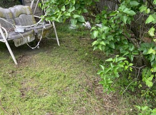 Bush Trimming by Phillip Crews for Sandra T. in Toledo, OH