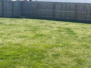 Cleanups by Tristan Spradlin for "Christopher R. in Lexington, KY