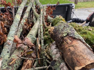 Cleanups by Bri S for Heather S. in North Providence, RI