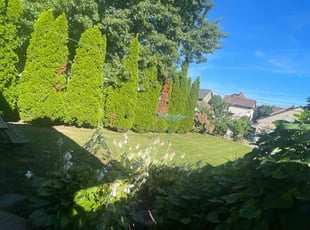 Tela H.'s Yard Cutting service result