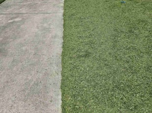 James H.'s Yard Cutting service result