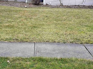 Leaf Removal by Chad Holzinger for Brian O. in Rochester, NY