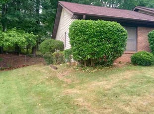 Bush Trimming by Michael Leslie for Tremaine T. in Morrow, GA