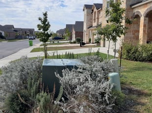 Bush Trimming by JackieAnn Talley for Ralph F. in San Antonio, TX