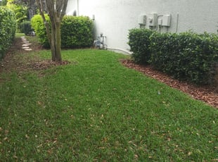 Jesse S.'s Lawn Mowing Service service result