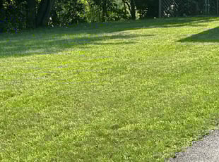 Patricia T.'s Lawn Service service result