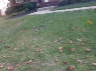 Bush Trimming by Essington Porter for Felisha D. in Upper Marlboro, MD