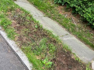 Cleanups by Ruben Fox for Brian s. in Hartford, CT