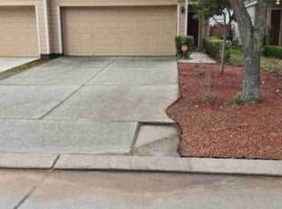 Leaf Removal by Felix Botello for Ashley S. in Houston, TX