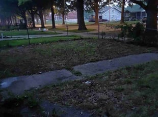 Leaf Removal by Troy Copa for Carollynn S. in Kansas City, MO