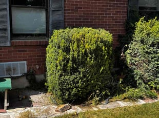 Cleanups by Evy Alexander Armas Gonzalez for Jan H. in Riverton, UT