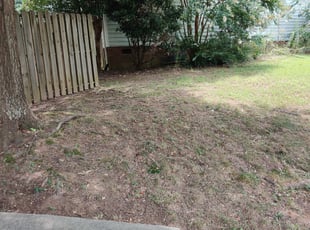 Leaf Removal by Fredrick thomason for Heather S. in Greenville, SC