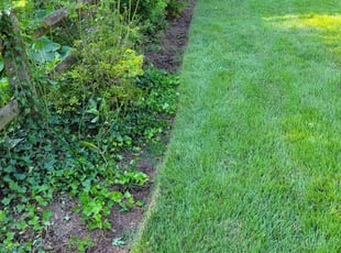 Weeding by Edwin Villagran for Jonathan W. in Bethesda, MD