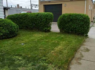 Bush Trimming by Devon Eagles for Zabreen A. in Buffalo, NY