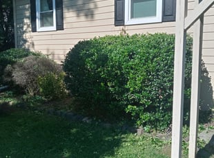 Bush Trimming by Korey McCoy for Ashley E. in Marietta, GA