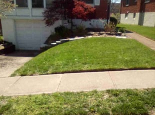 Sarah H.'s Lawn Mowing service result