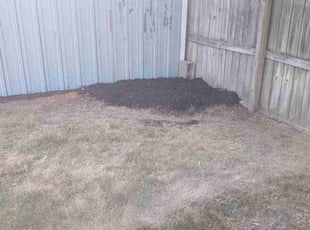 Mulching by Jacob Jumper for Elizabeth L. in Grand Rapids, MI