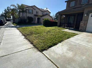 Vernon H.'s Lawn Care service result