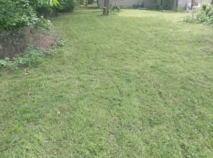Cleanups by Colton Marshall for Jody H. in Tulsa, OK