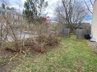 Bush Trimming by Angel P. for Dena L. in Annandale, VA
