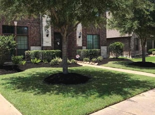 Mulching by Abraham Flores for Jennifer S. in Katy, TX