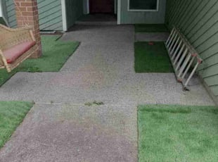 Leaf Removal by Robert Marsico for Brian B. in Vancouver, WA