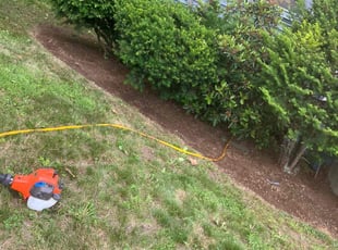 Weeding by Carol Hughes for Mary M. in Worcester, MA
