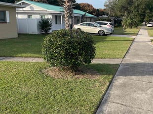 Bush Trimming by Edwin Rios Rosado for Joy P. in DeLand, FL