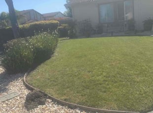 Bush Trimming by Michael Leftridge for Ronald. N. in Hercules, CA
