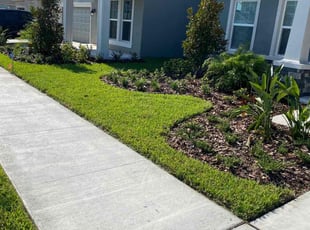 Litishi L.'s Lawn Maintenance service result