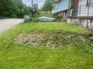 Bush Trimming by Eric Irvin for Marcia S. in West Mifflin, PA