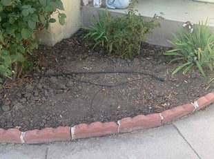 Weeding by William Mendoza for Carol M. in Los Angeles, CA