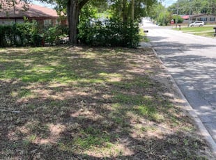 Leaf Removal by Johnny Richardson for Winette R. in Winter Haven, FL