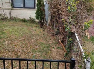 Bush Trimming by Amber Fuentes for Will S. in Washington, DC