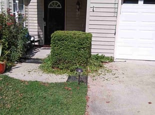 Bush Trimming by Debbie Carper for Samuel W. in Virginia Beach, VA