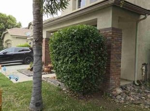 Bush Trimming by Jose Hernandez for Bobby L. in Menifee, CA