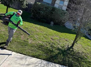 Bush Trimming by Hector Espinosa for Cody R. in Hutto, TX